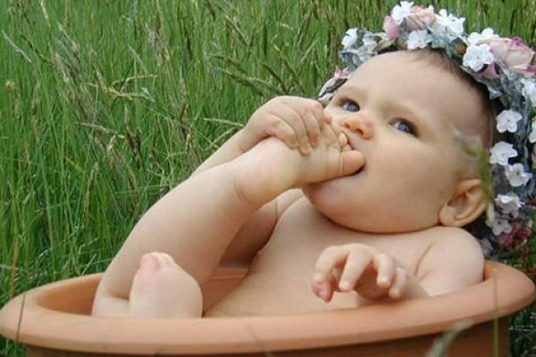 فوائد الأعشاب الطبية لطفلك الرضيع