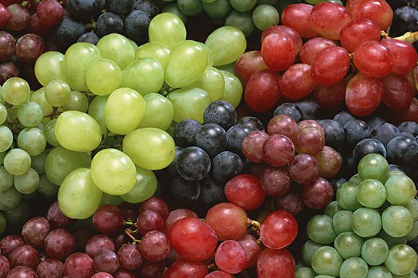 حاربي حر الصيف بكنوز الطبيعة الشهية
