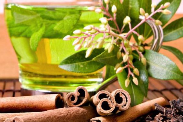 النعناع والقرفة.. لانتباه أكثر