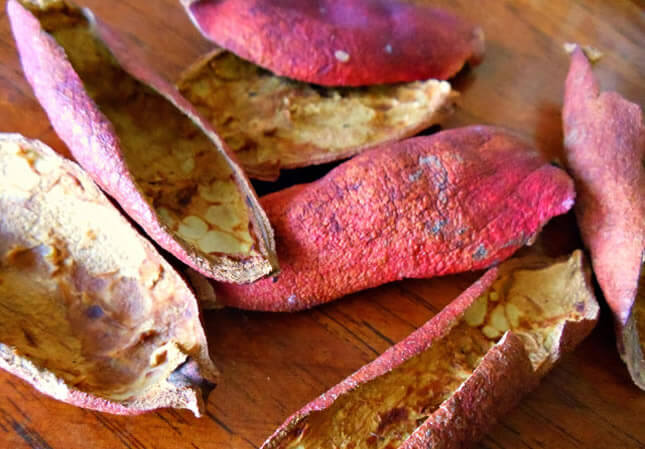 اغلي قشور هذه الفاكهة واخسري 3 كيلوغرامات خلال أسبوع!